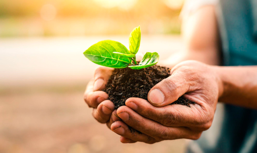 La economía circular: una solución sostenible para el futuro